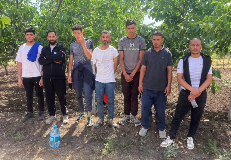 Edirne’de 7 kaçak göçmen yakalandı