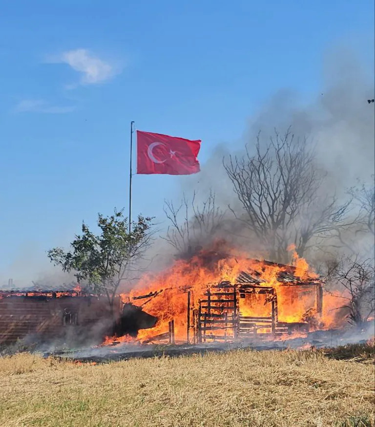 Edirne’de anız yangını ağıla sıçradı