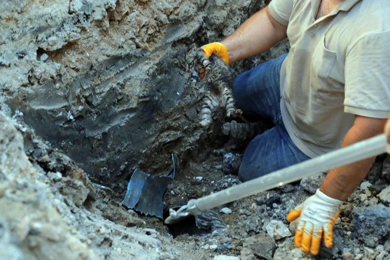Edirne’de drenaj kanalında mahsur kalan yavru kedi, yol kazılarak kurtarıldı