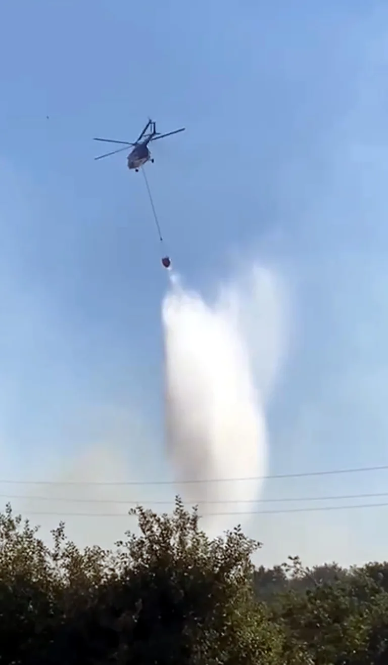 Edirne’de orman yangını
