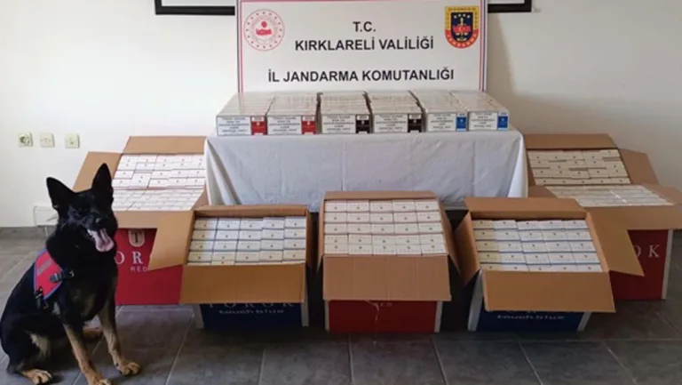 Kırklareli’de 55 bin makaron ele geçirildi