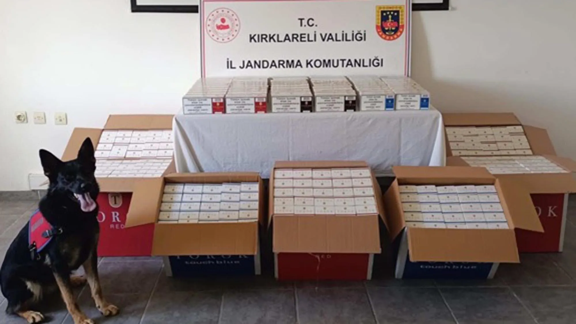 Kırklareli’de 55 bin makaron ele geçirildi Kırklareli’de 55 bin makaron ele geçirildi