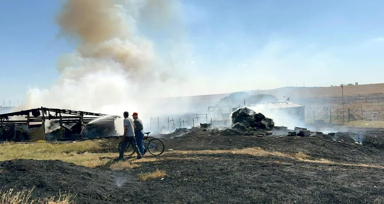 Çiftlikteki Yangında 500 Dönüm Tarım Arazisi Zarar Gördü
