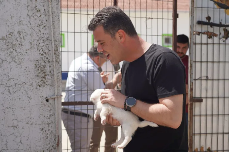 Başkan Sarıkurt´tan Sokak Hayvanları Hakkında Önemli Açıklama