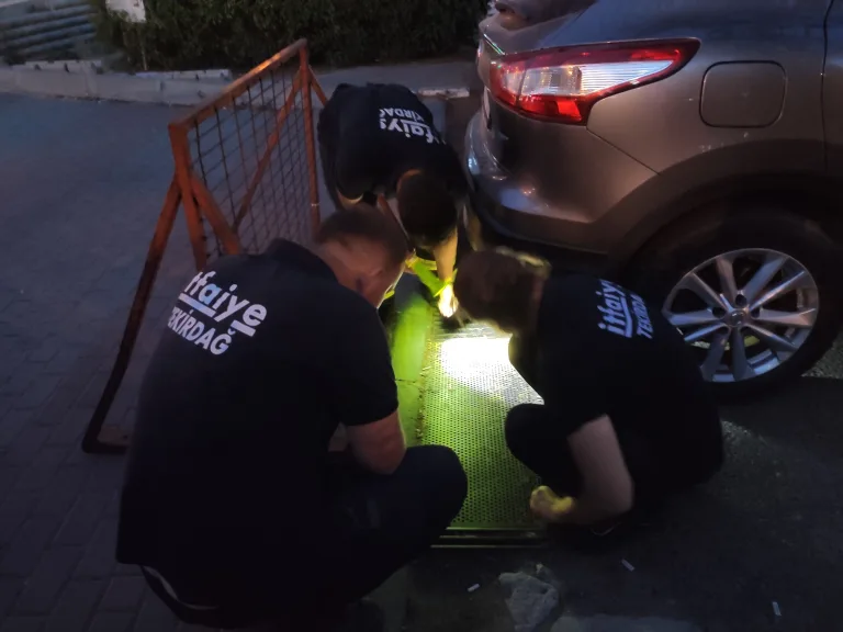 Mazgala Sıkışan Kedi İtfaiye Ekipleri Tarafından Kurtarıldı