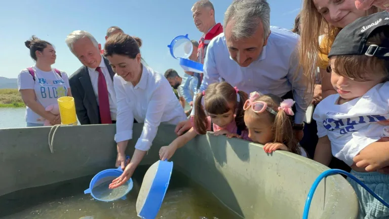 Edirne’de bu yıl 10 milyon yavru sazan üretilip, iç sulara bırakıldı