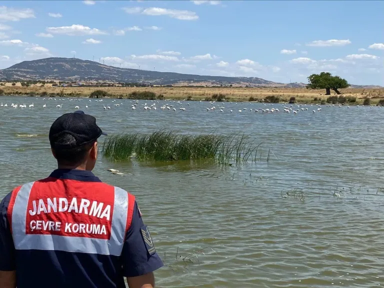 Edirne’de jandarmadan Gala Gölü Milli Parkı’nda denetim