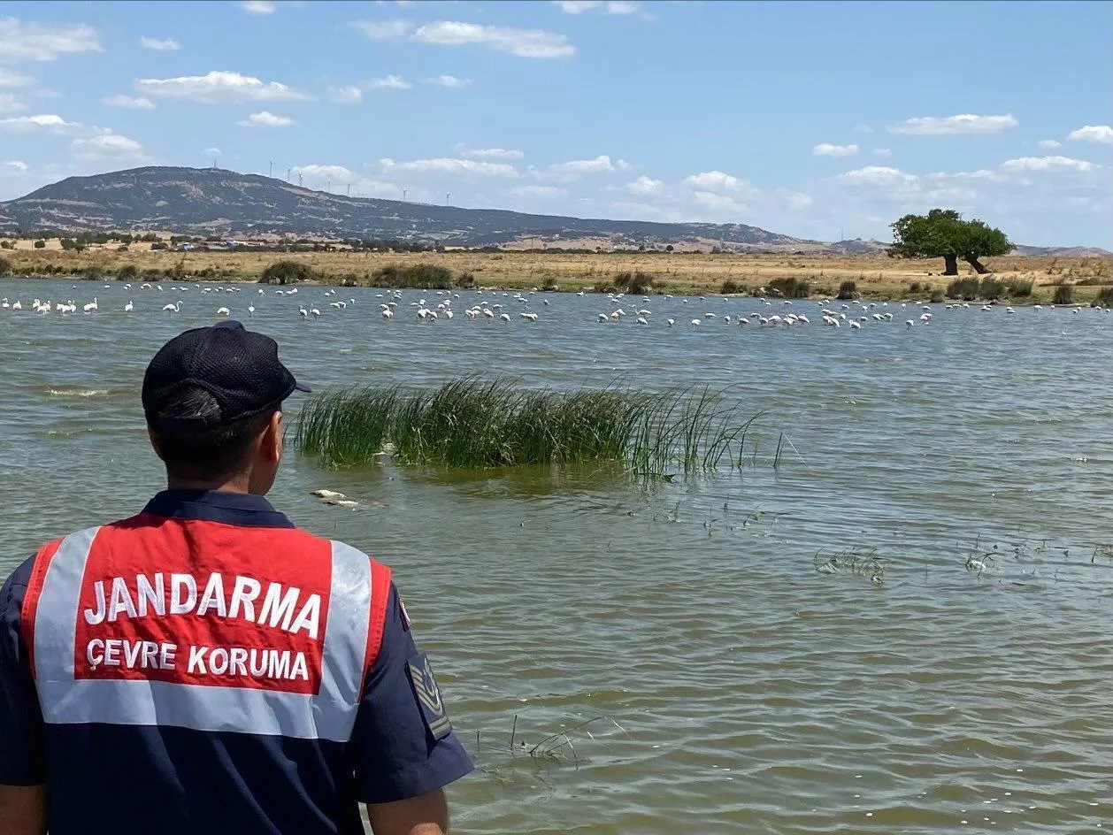 Edirne’de jandarmadan Gala Gölü Milli Parkı’nda denetim Edirne’de jandarmadan Gala Gölü Milli Parkı’nda denetim