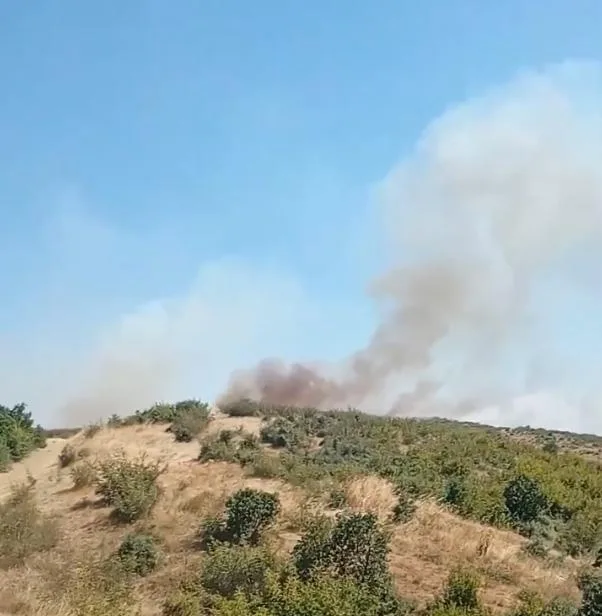 Edirne’de orman yangını