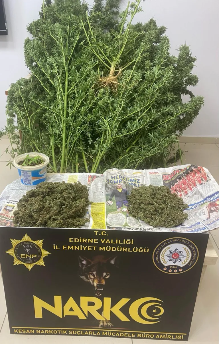 Edirne’de uyuşturucuya 2 tutuklama