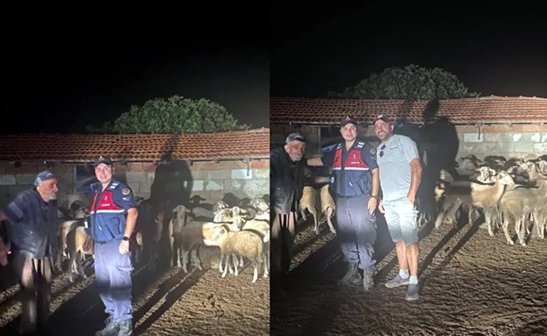Kırklareli’de kaybolan koyunları jandarma dronla buldu