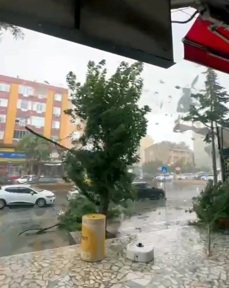 Marmaraereğlisi’nde Sağanak ve Kuvvetli Rüzgar; Ağaçlar Devrildi, Çatılar Uçtu