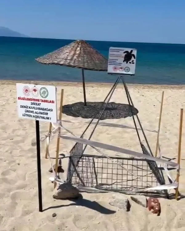 Saros’ta caretta caretta yuvası, korumaya alındı