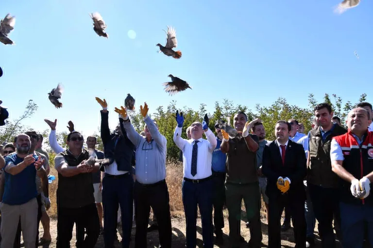 Tekirdağ’da 300 çil keklik doğaya salındı