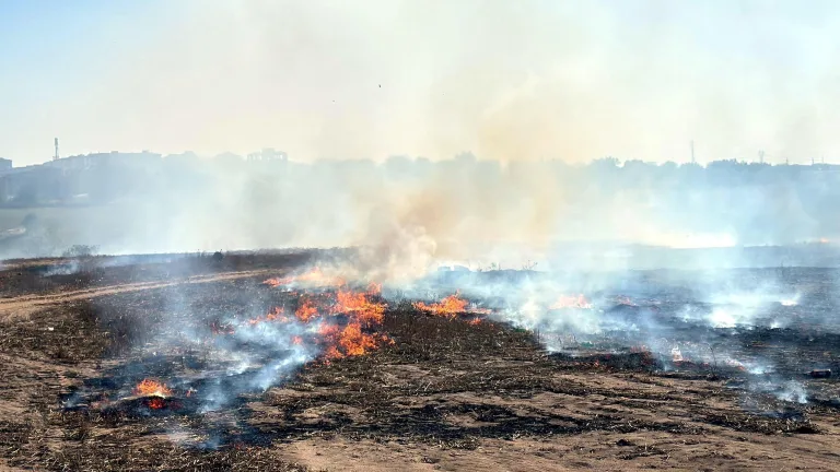 Tekirdağ’da Temmuz Ayında 911 Yangın Çıktı