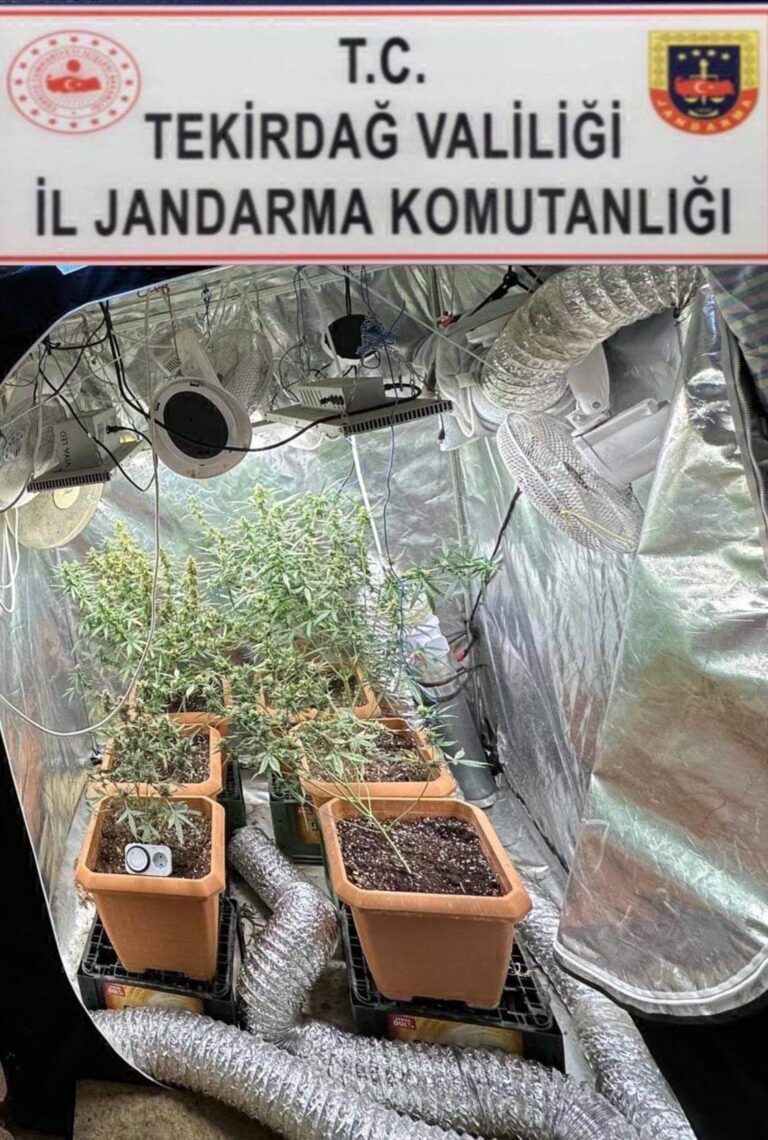 Evine İklimlendirme Sistemi Kurup Kenevir Yetiştiren Şüpheli Yakalandı