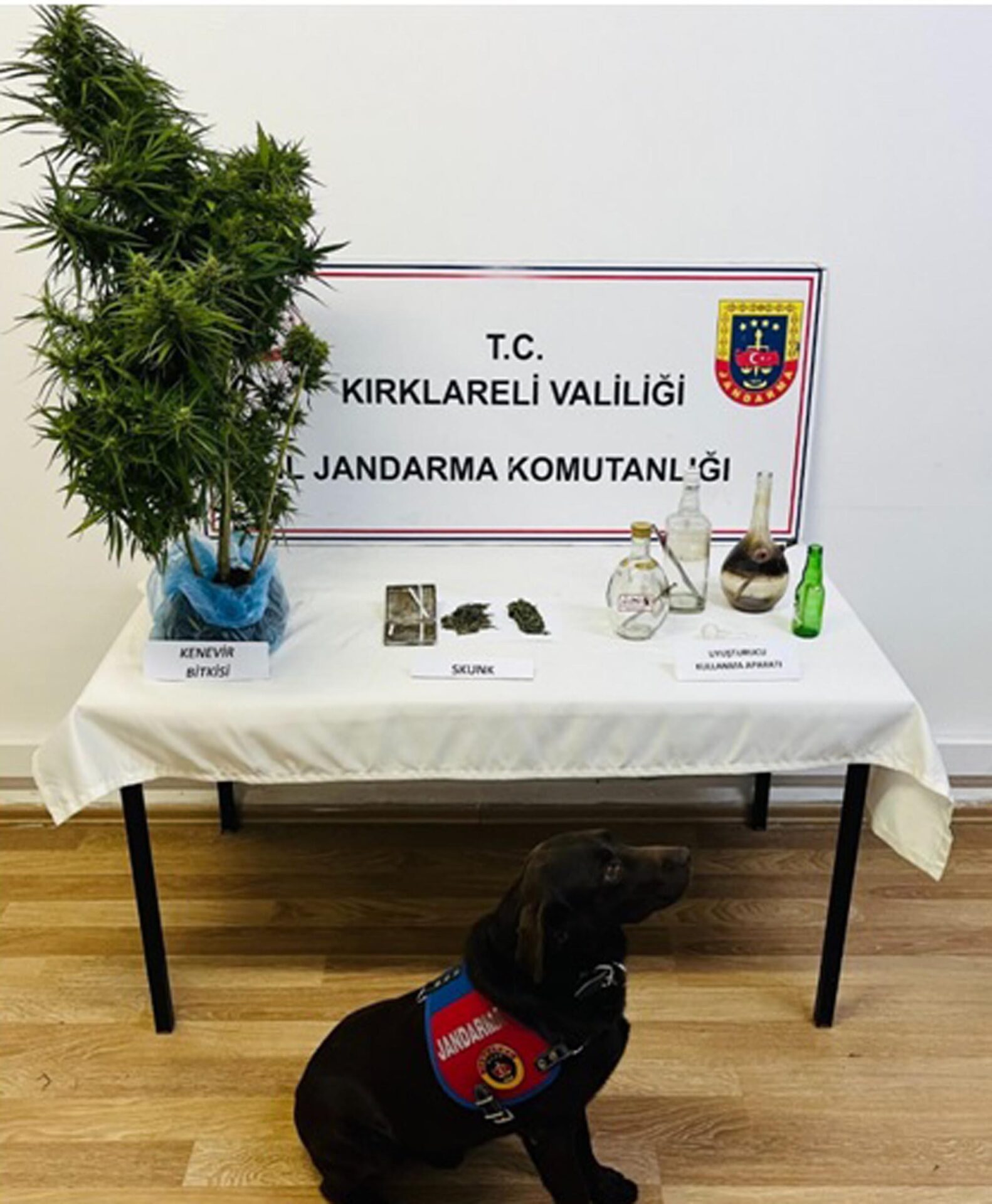 Jandarmanın kaçakçılık operasyonunda 5 tutuklama Jandarmanın kaçakçılık operasyonunda 5 tutuklama