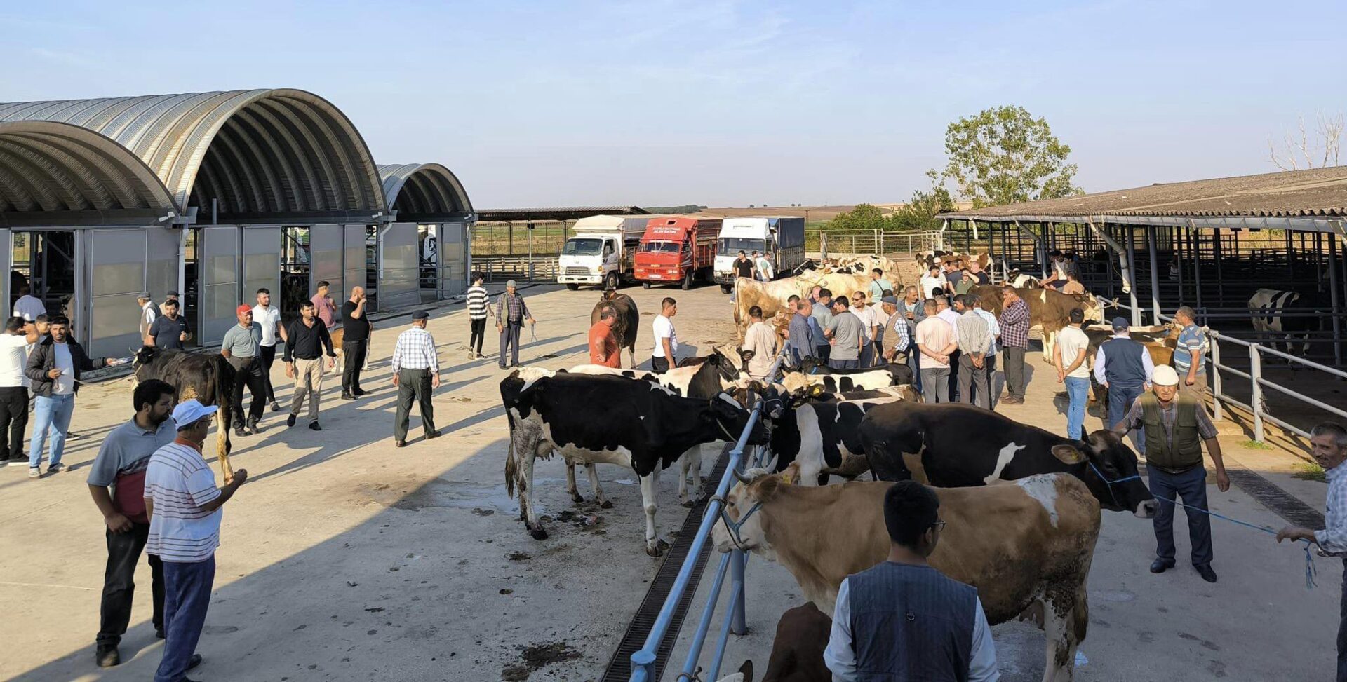 Keşan’da çiçek ve şarbon hastalığı nedeniyle hayvanların meraya çıkartılması yasaklandı Keşan’da çiçek ve şarbon hastalığı nedeniyle hayvanların meraya çıkartılması yasaklandı