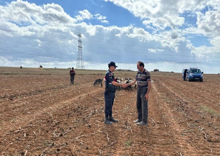 Kırklareli’de kaybolan hayvanlar dronla bulundu