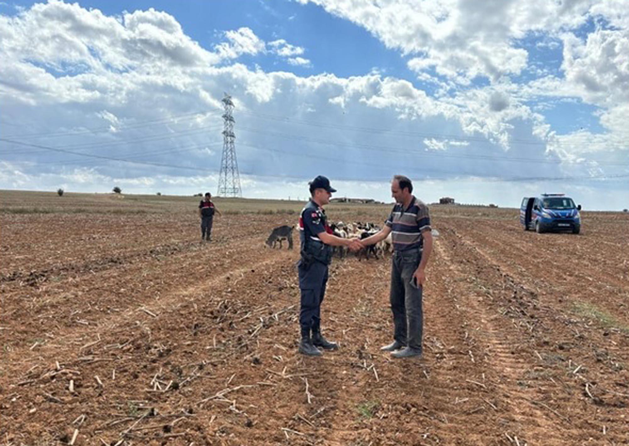 Kırklareli’de kaybolan hayvanlar dronla bulundu Kırklareli’de kaybolan hayvanlar dronla bulundu