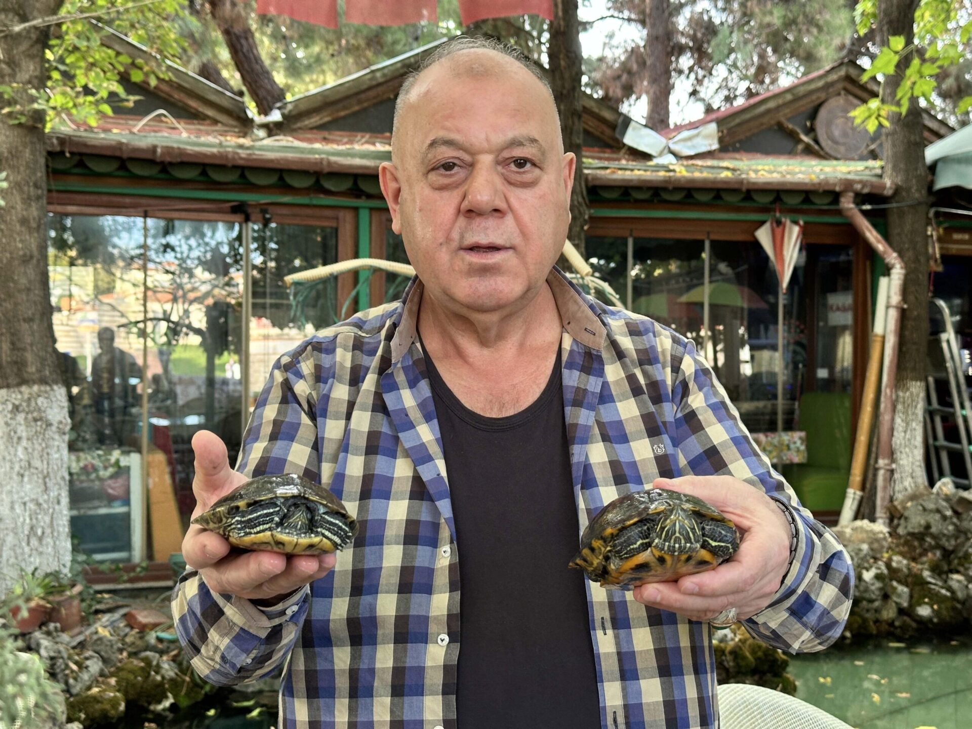 Müşterileri bakamadı, 18 kaplumbağayı sahiplendi; işletmesinde besliyor Müşterileri bakamadı, 18 kaplumbağayı sahiplendi; işletmesinde besliyor