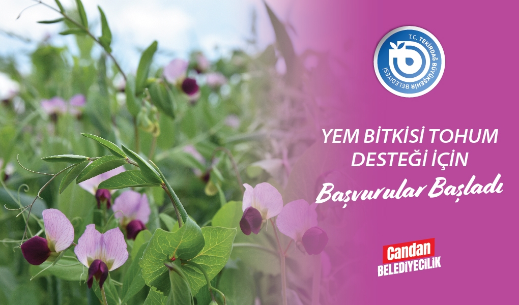 YEM BİTKİSİ TOHUM DESTEĞİ İÇİN BAŞVURULAR BAŞLADI YEM BİTKİSİ TOHUM DESTEĞİ İÇİN BAŞVURULAR BAŞLADI