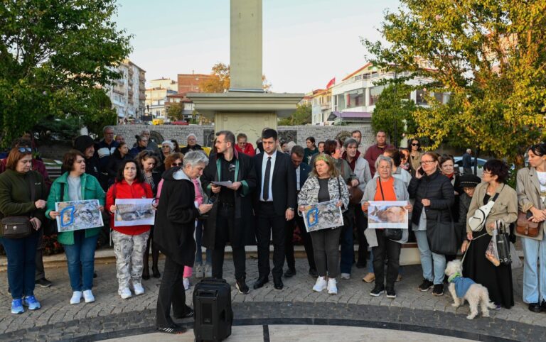 Kırklareli’nde barınakta 17 kedi ve köpek öldü; adli, idari soruşturma başlatıldı (3)