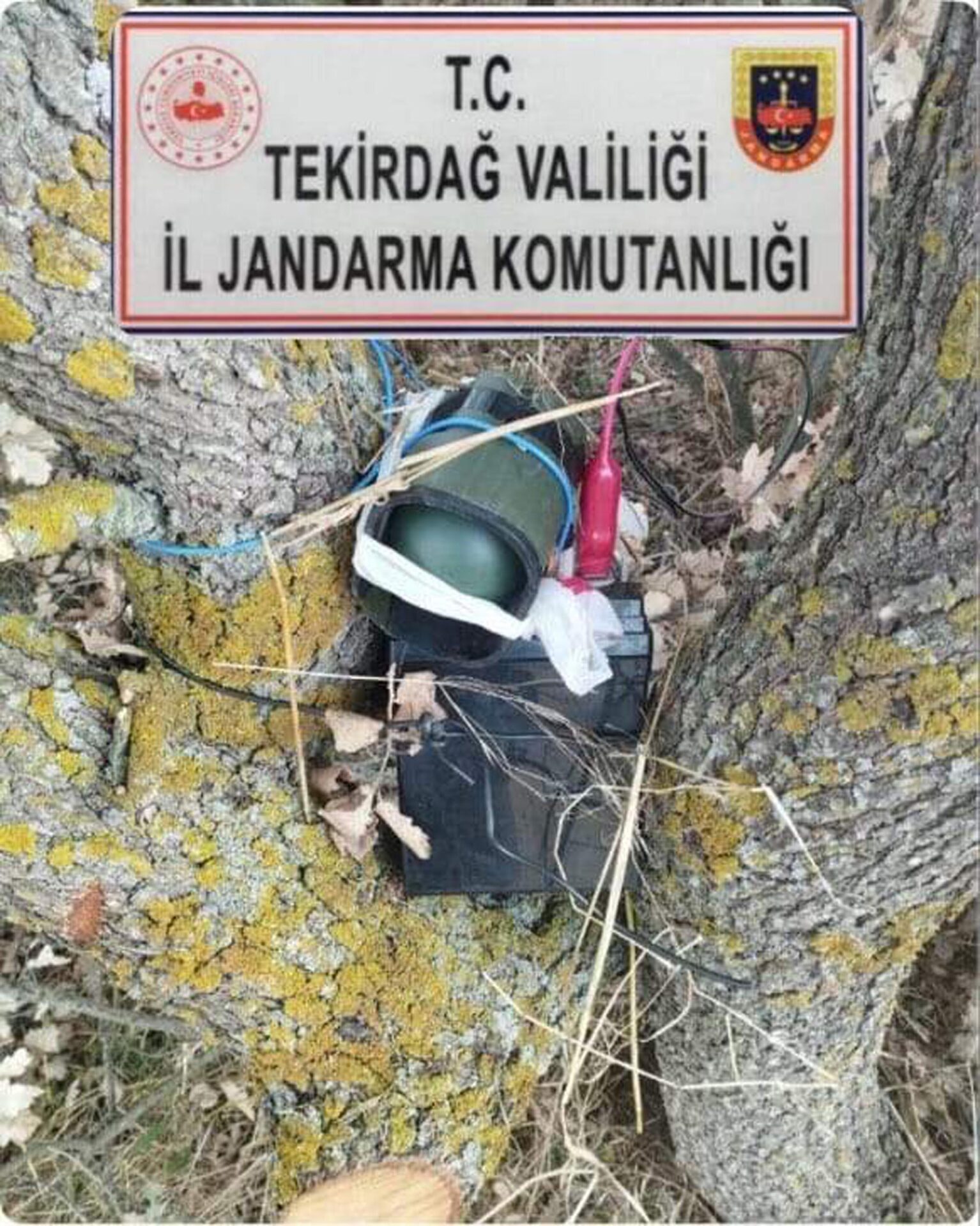Ses düzeneği kurup bıldırcın avlarken yakalandı Ses düzeneği kurup bıldırcın avlarken yakalandı