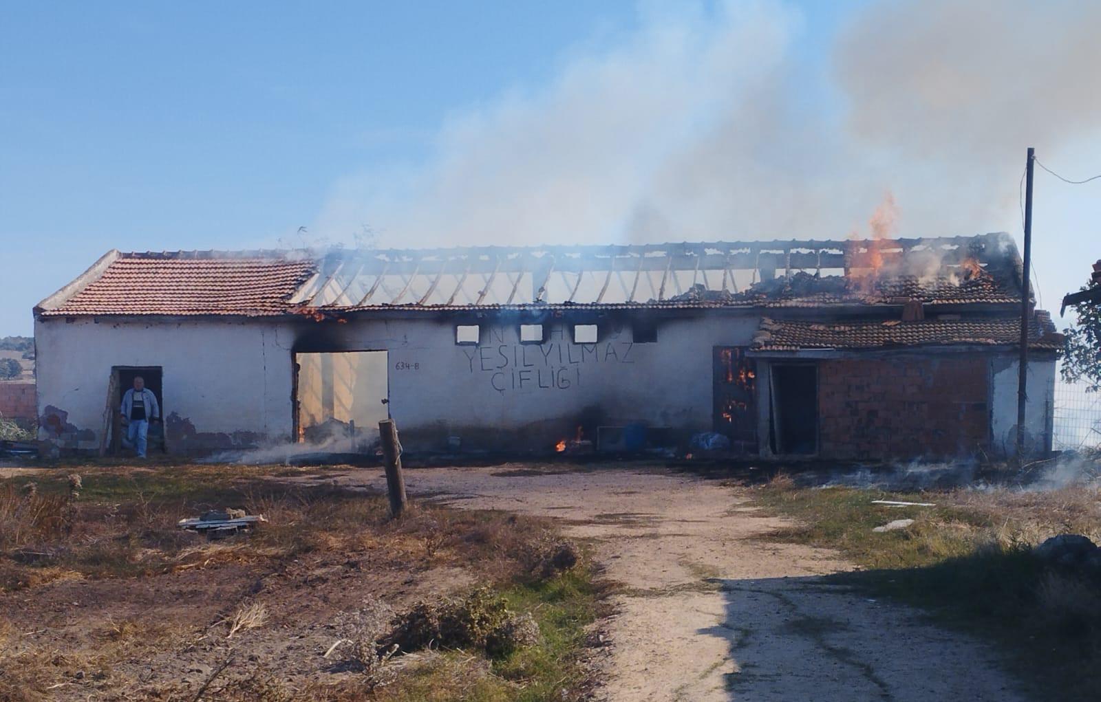 Anız yangını depoya sıçradı, 15 ton buğday ve 500 saman balyası kül oldu Anız yangını depoya sıçradı, 15 ton buğday ve 500 saman balyası kül oldu