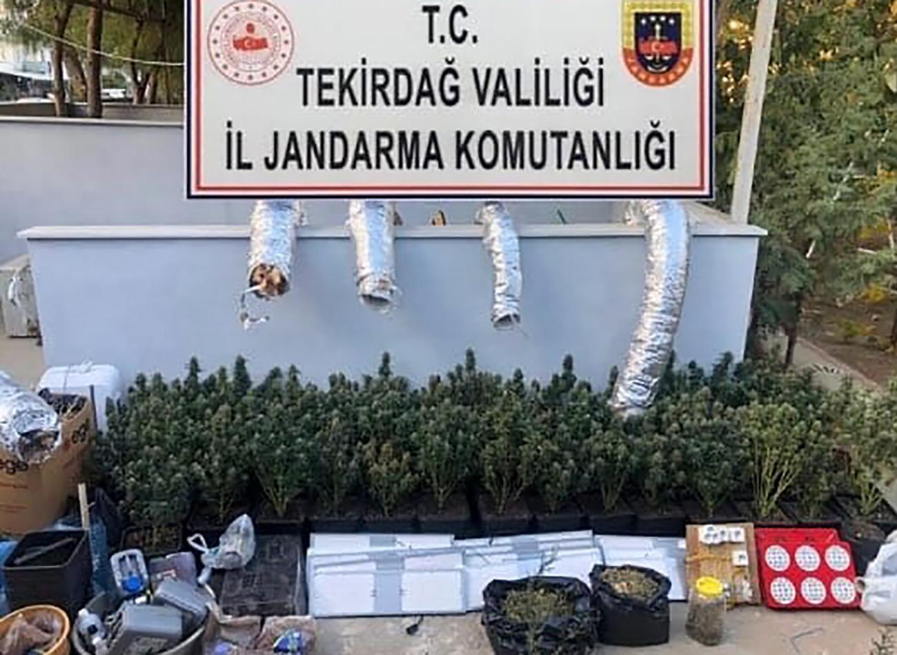 Evinde kurduğu düzenekle skunk bitkisi yetiştiren şüpheli yakalandı Evinde kurduğu düzenekle skunk bitkisi yetiştiren şüpheli yakalandı