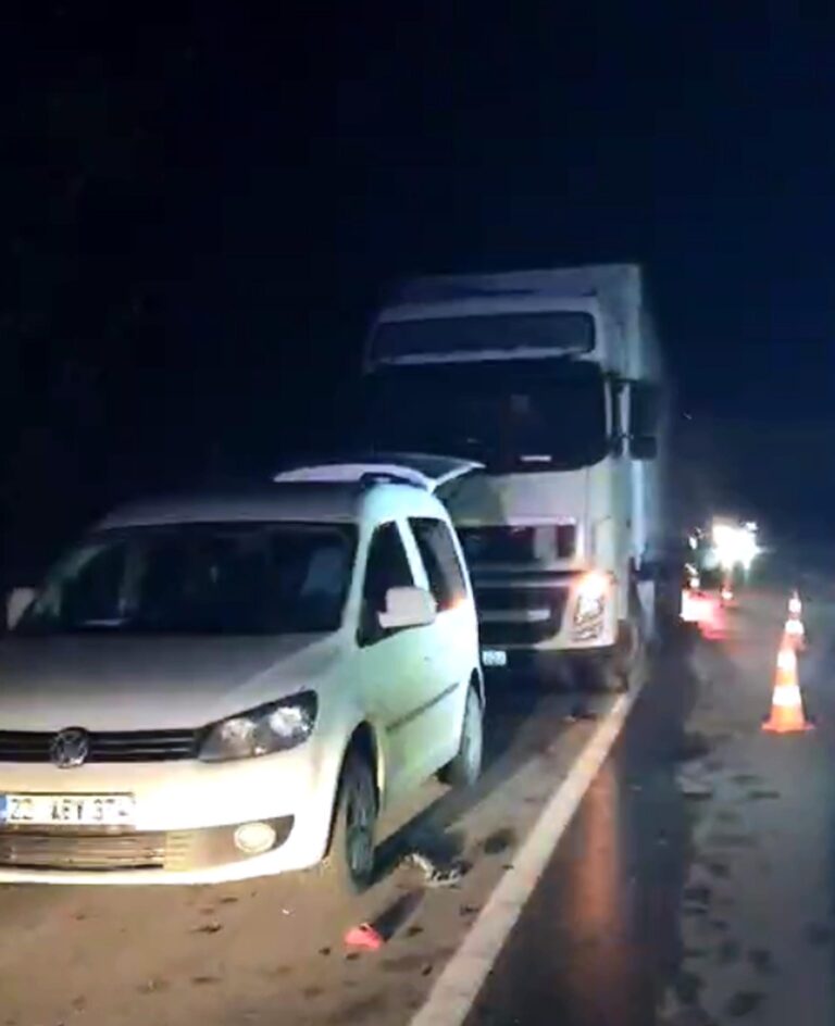 Arızalanan TIR’ını tamir etmeye çalışan Polonyalı şoför, TIR’ın çarpmasıyla öldü