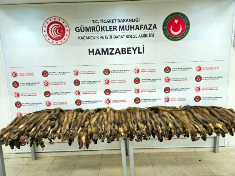 Hamzabeyli Sınır Kapısı’nda 155 samur postu ile 239 cep telefonu ele geçirildi