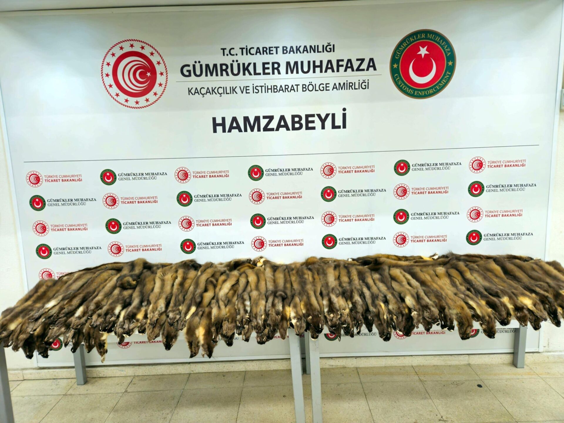 Hamzabeyli Sınır Kapısı’nda 155 samur postu ile 239 cep telefonu ele geçirildi Hamzabeyli Sınır Kapısı’nda 155 samur postu ile 239 cep telefonu ele geçirildi