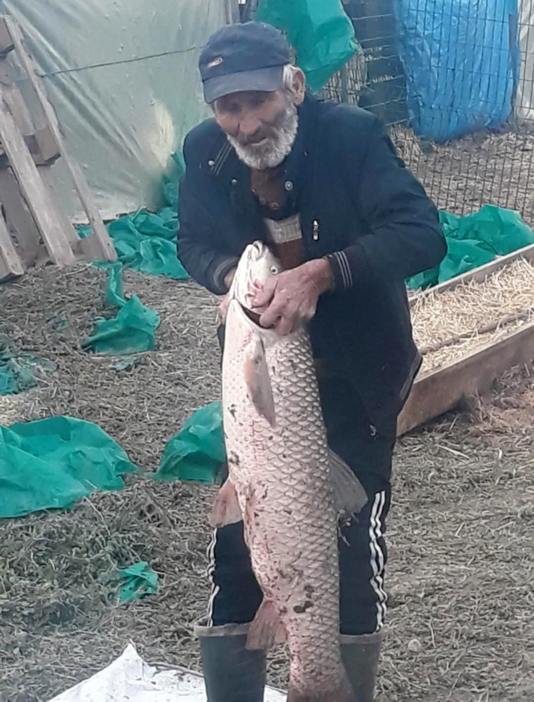 Edirne’de 13 kilo ağırlığında sazan balığı yakalandı Edirne’de 13 kilo ağırlığında sazan balığı yakalandı