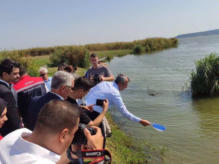 Edirne’de 2024 yılında 10 milyon sazan balığı yavrusu üretildi