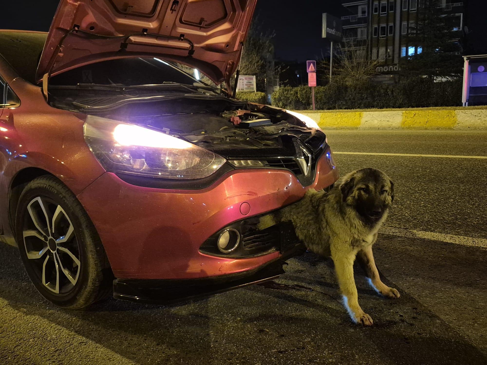 Kendisine çarpan otomobilin tamponuna sıkışan köpeği itfaiye kurtardı Kendisine çarpan otomobilin tamponuna sıkışan köpeği itfaiye kurtardı