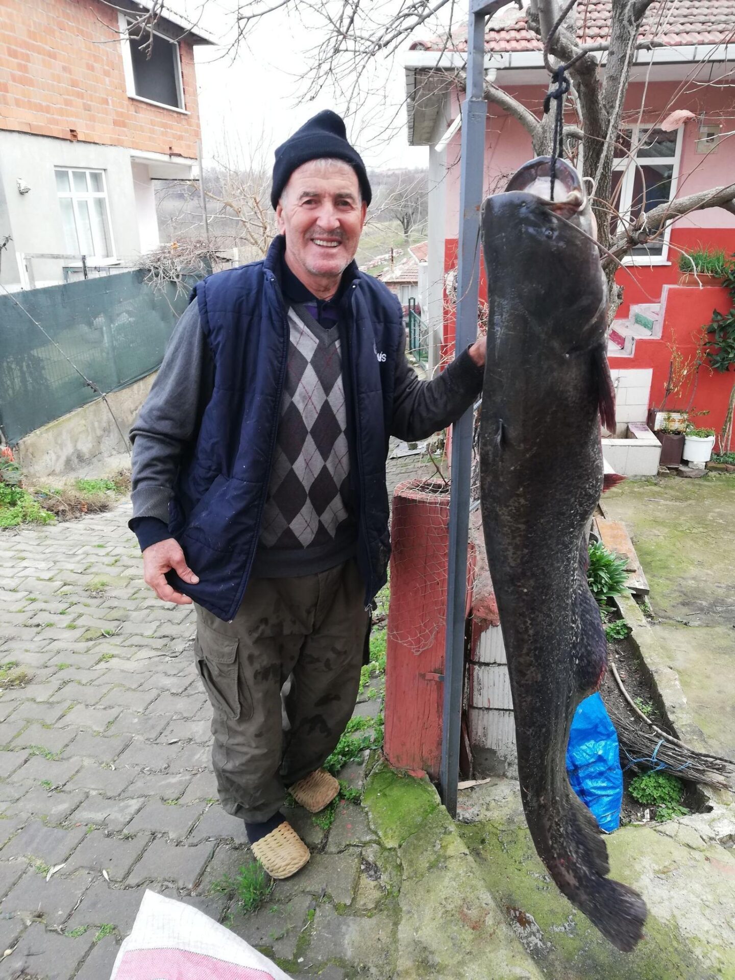 Meriç Nehri’nde 77 kilo ağırlığında yayın balığı yakaladı Meriç Nehri’nde 77 kilo ağırlığında yayın balığı yakaladı