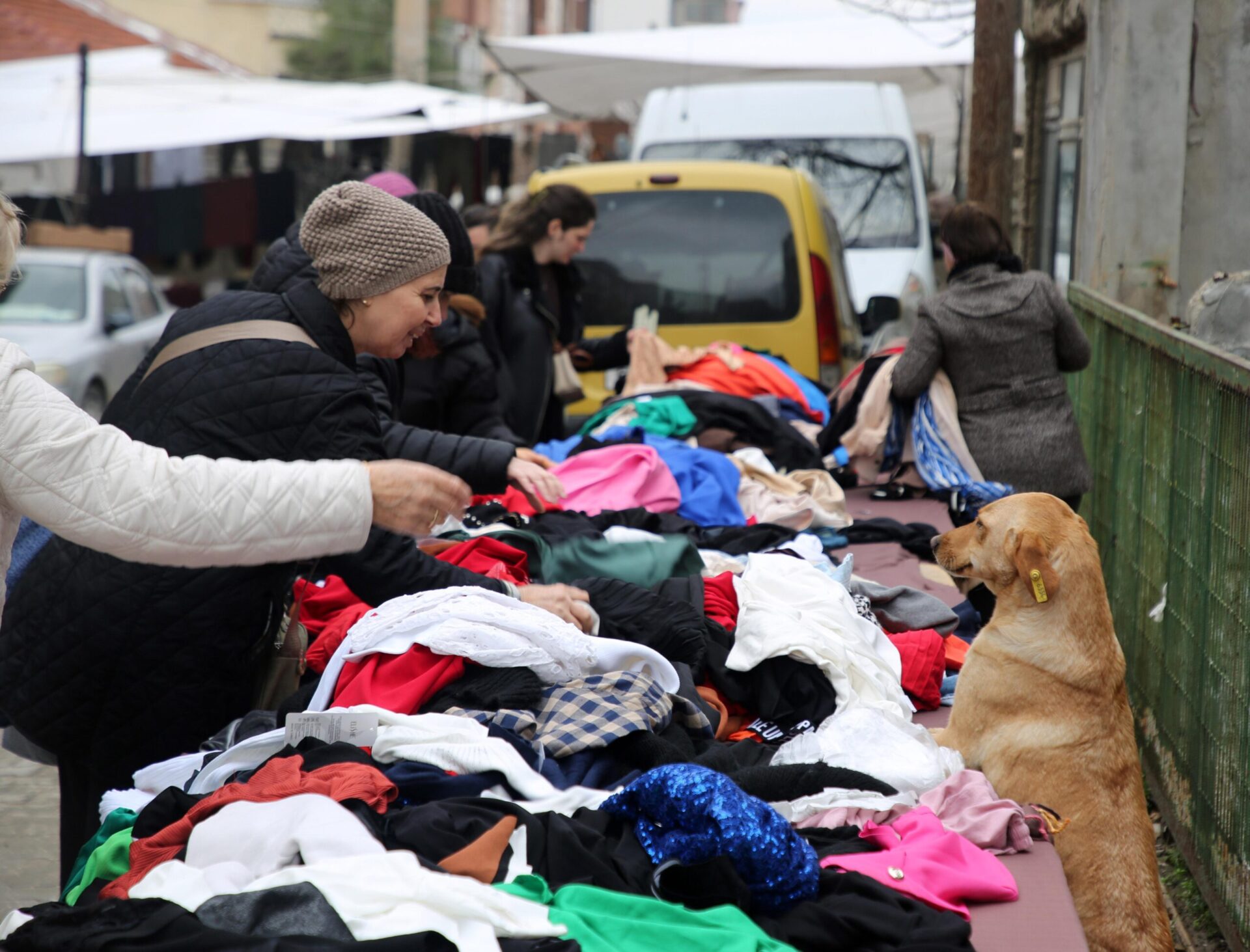 Sokak hayvanları için pazarda gönüllü satış yapıyorlar Sokak hayvanları için pazarda gönüllü satış yapıyorlar