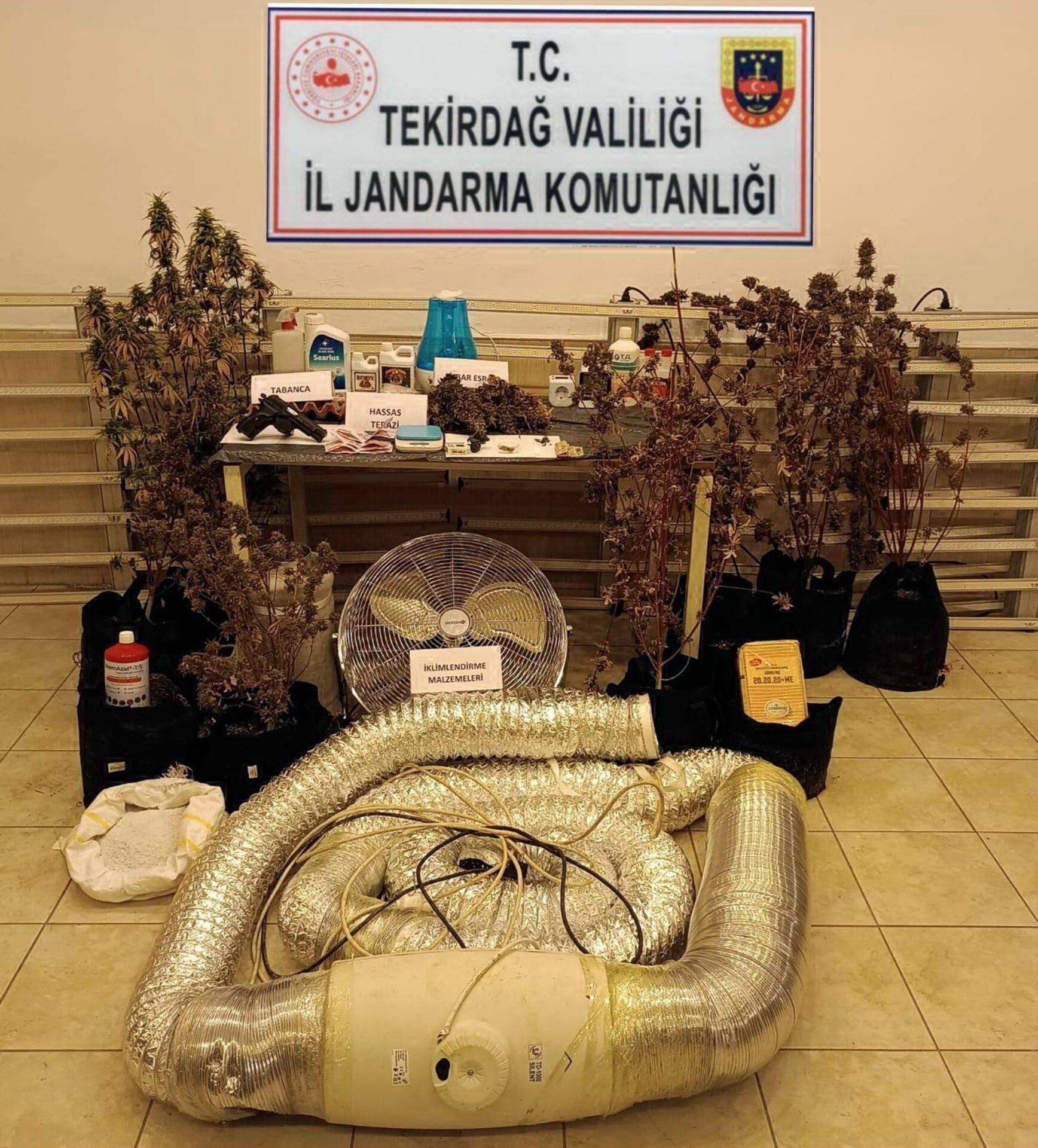 Tekirdağ’da evlerinde uyuşturucu yetiştiren şüpheliler yakalandı | Çorlu’da Haber Tekirdağ’da evlerinde uyuşturucu yetiştiren şüpheliler yakalandı | Çorlu’da Haber