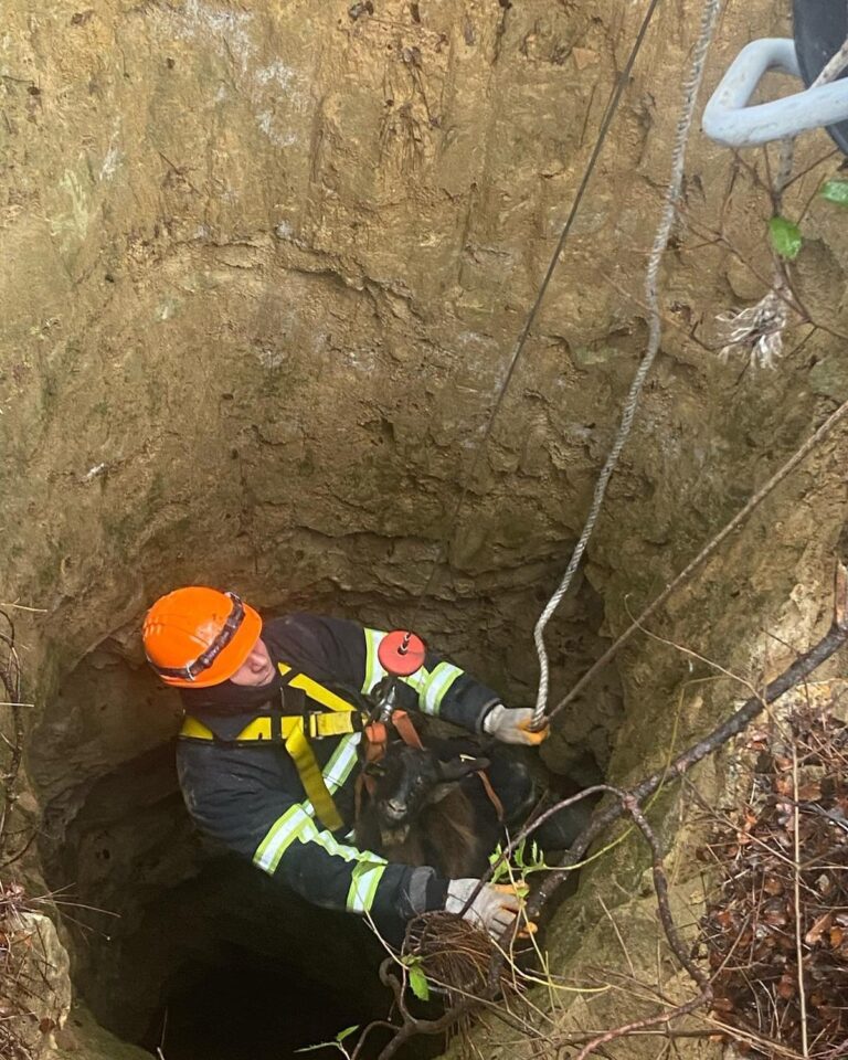 Edirne’de 32 metre derinliğindeki çukura düşen 4 keçi kurtarıldı