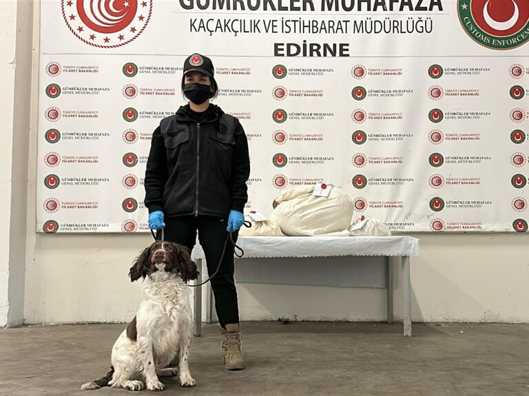 Kapıkule’de otomobildeki uyuşturucuyu ‘Jeff’ buldu