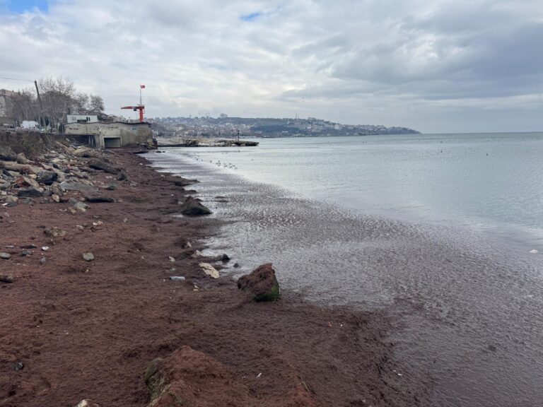 Tekirdağ sahili kırmızı yosunla kaplandı | Çorlu’da Haber