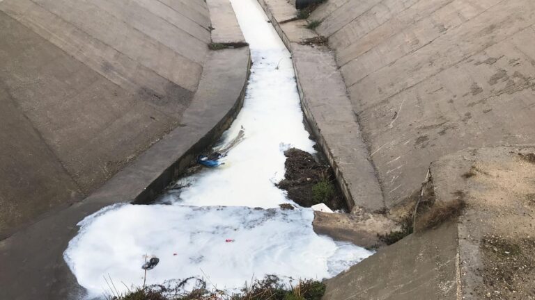 Tekirdağ’da atıkların karıştığı dere beyaz aktı | Çorlu’da Haber