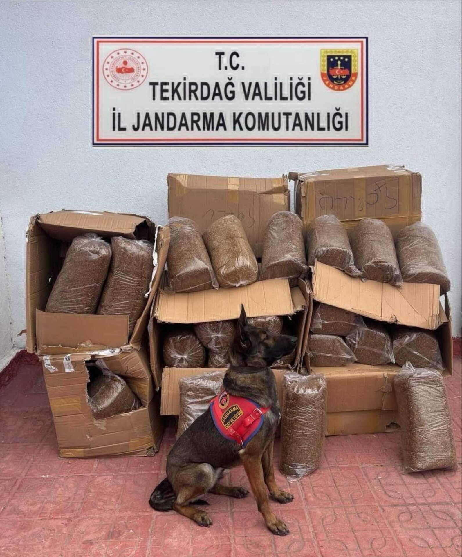 Çorlu’da 88 bin 400 makaron ele geçirildi | Çorlu’da Haber Çorlu’da 88 bin 400 makaron ele geçirildi | Çorlu’da Haber