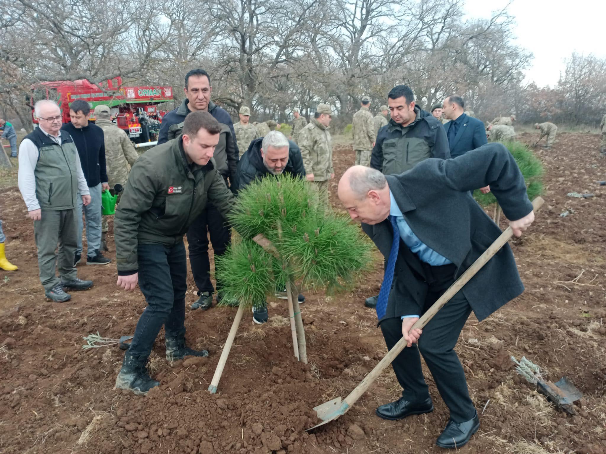 Edirne’de fidan dikim etkinliği düzenlendi Edirne’de fidan dikim etkinliği düzenlendi