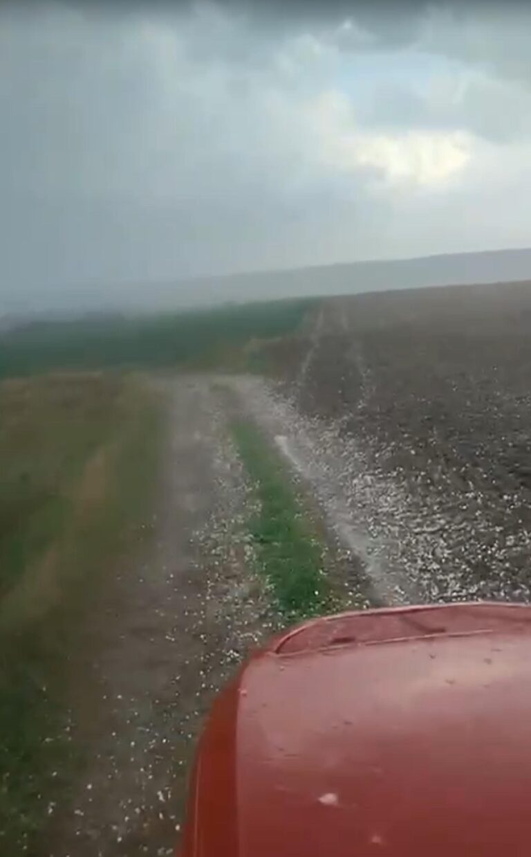 Edirne’de sağanak etkili oldu(2)