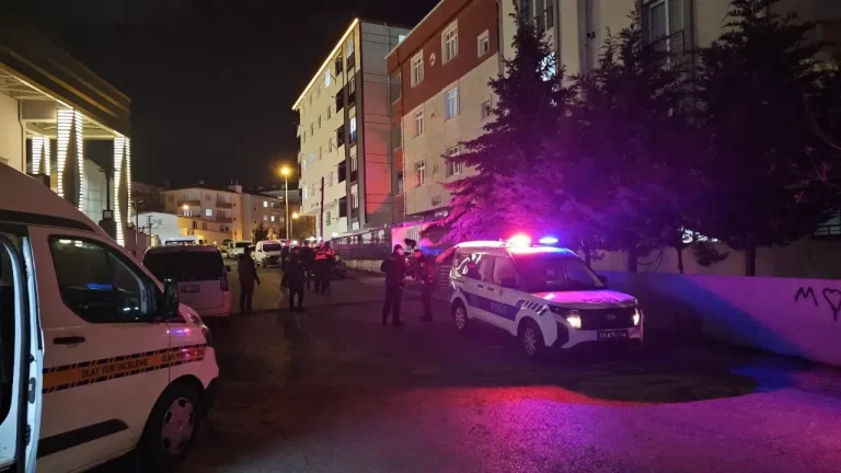 Kardeşini Bıçaklayarak Yaraladı
