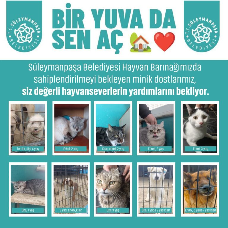 Süleymanpaşa Belediyesinden Anlamlı Çağrı