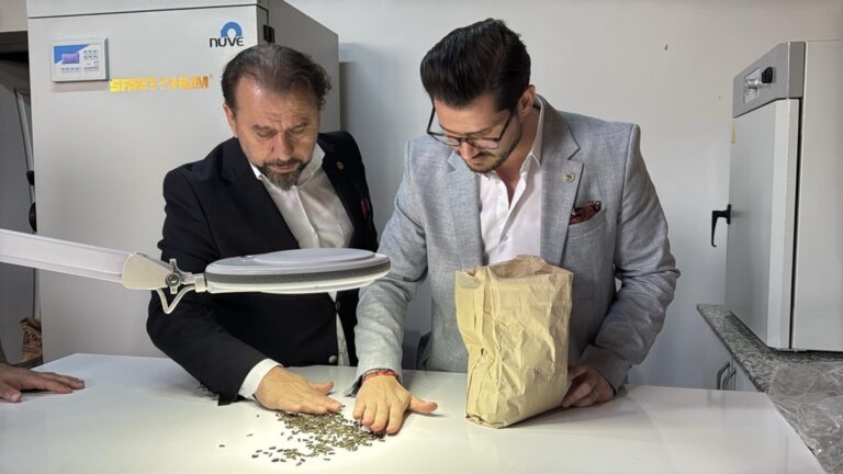 Yerli ve milli hibrit ayçiçeği tohumunda yeni versiyon tescillendi | Çorlu’da Haber