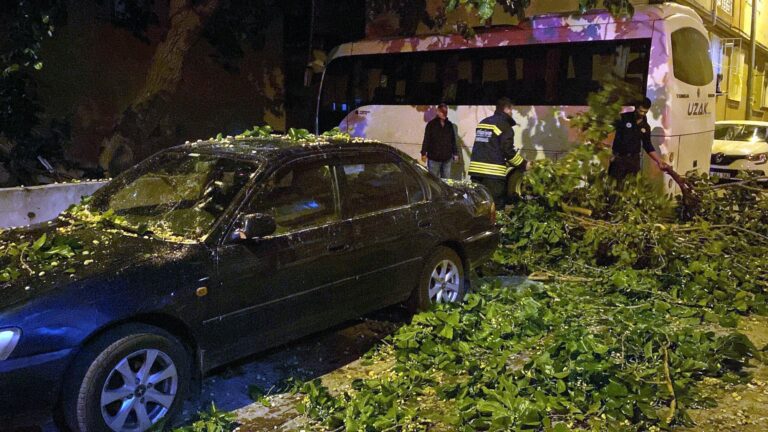 Ağaç Park Halindeki Otomobilin Üzerine Devrildi